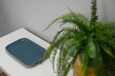 a potted plant and a cell phone on a table at GuestReady - A warm city refuge in Cedofeita in Porto