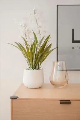 a plant in a vase sitting on top of a dresser at Liiiving in Porto - Crystal Palace Apartment in Porto
