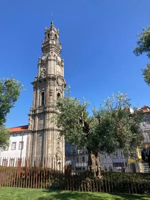 a building with a tower with a tree in front of it at Liiiving in Porto - Crystal Palace Apartment in Porto