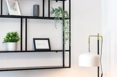 a black shelf with plants and a lamp at HM - Ribeira Historical Apartment in Porto