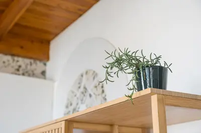 a plant sitting on top of a wooden shelf at GuestReady - Beer Garden in Porto