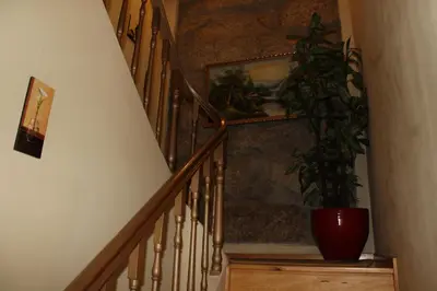 a stairway with a plant in a red vase at Guest House Estrela in Porto