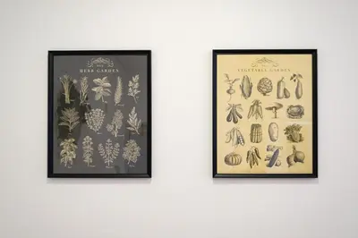 two framed prints of fossils on a wall at Dennis Family Friendly House by RDC in Porto