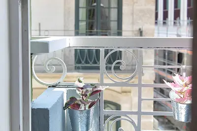 a balcony with two potted plants on a railing at Oporto Sweet Downtown 1 in Porto