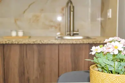 a potted plant sitting on a counter in a kitchen at Oporto Sweet Downtown 2 in Porto