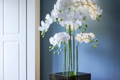 a vase filled with white flowers in a room at HM - Infante Riverside Apartment B in Porto