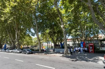 a group of people standing on the side of a street with trees at VIVA Marquês Studio in Porto
