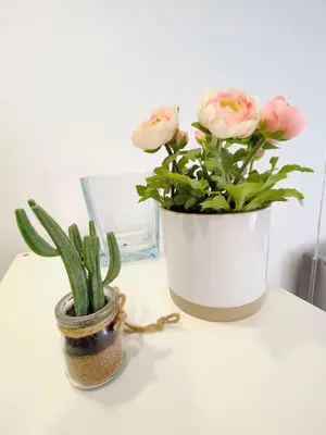 two potted plants sitting on a white table at Apartment in the historic center of Porto in Porto