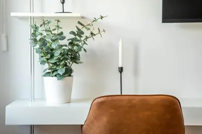 a plant sitting on a white desk with a chair at Penthouse with City Views - Almada 551 in Porto
