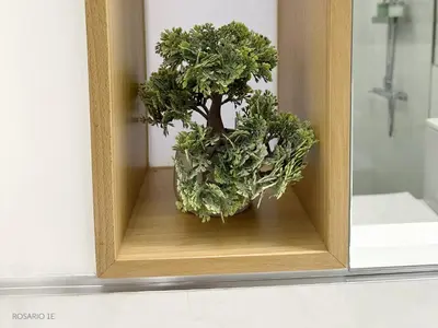 a planter with a tree in the corner of a bathroom at ROSARIO 1E by rosario inn porto in Porto