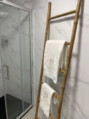 a towel ladder in a bathroom with a shower at Marinho's Oporto Apartments II in Porto
