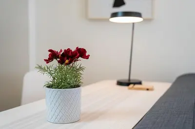 a white vase with a red flower on a table at GuestReady - Sunny Stay in Porto City Center in Porto