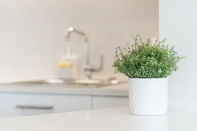 a white vase with a plant on a kitchen counter at GuestReady - Riverview Douro Terrace in Vila Nova de Gaia