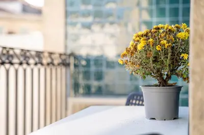 a vase with yellow flowers sitting on a table at João IV Jewel Retreat by LovelyStay in Porto