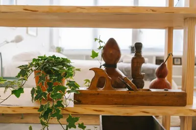 a wooden shelf with a potted plant on it at Porto Serenity loft. in Porto
