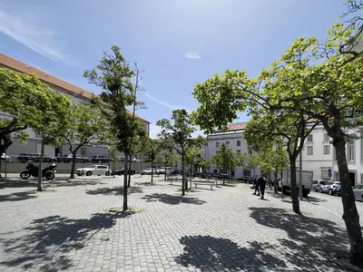 a courtyard with trees in front of a building at OPO Domus in Porto