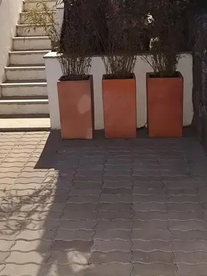 three pots with plants in them sitting next to stairs at PORTO GARDEN YARD APARTMENT in Porto