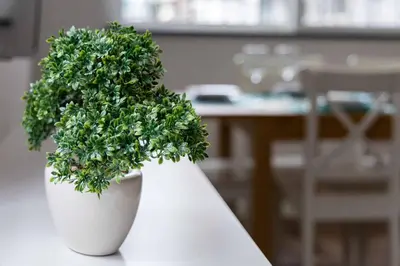 a white planter with a green plant in it at Casinha dos Avós by LovelyStay in Vila Nova de Gaia
