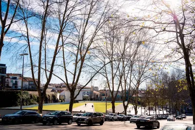 a group of cars parked in a parking lot with trees at Emotions Trindade Flat in Porto