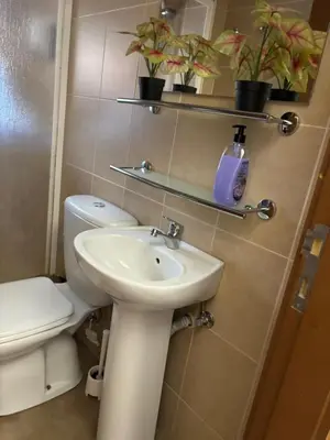 a bathroom with a sink and a toilet and plants at Taipas Guest House in Porto