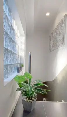 a potted plant sitting on a table in a room at Casa del Charm With Terrace in Vila Nova de Gaia