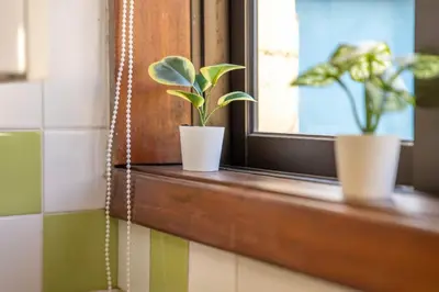 two potted plants sitting on a window sill at Porto Heights by LovelyStay in Porto