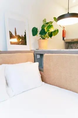 a bedroom with two beds and a potted plant at Cedofeita studio 41 in Porto