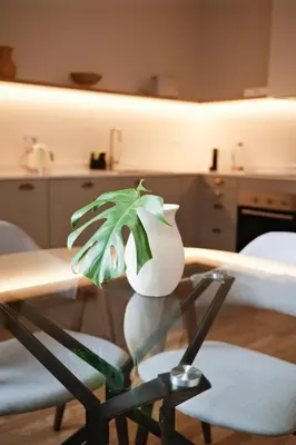 a potted plant sitting on top of a glass table at Corujeira Apartments by MyALPlace in Porto