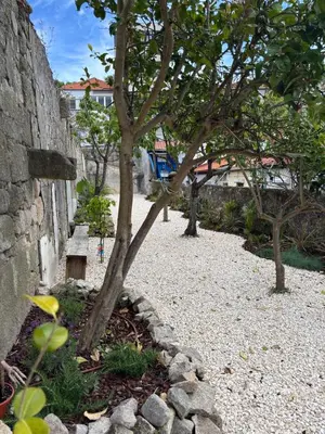 a tree in a garden next to a stone wall at Charming Studio with Garden in Porto in Porto