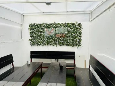 a room with two benches and a plant on the wall at Owls Hostel Ribeiro in Porto