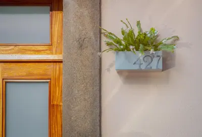 a plant on a wall next to a door at GuestReady - Catorze de Outubro Houses 427 in Vila Nova de Gaia