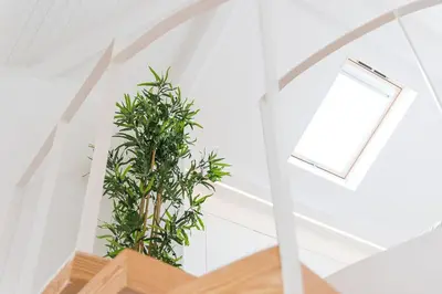 a room with two potted plants on the stairs at HiddenGem - Cotton Strings in Porto