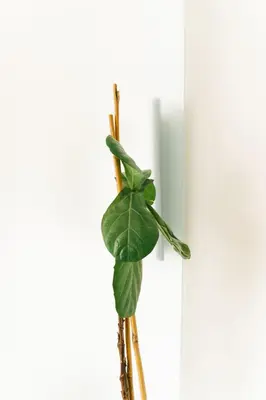 a green plant in a vase next to a window at Studio Faria Guimarães in Porto