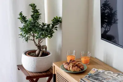 a table with a potted plant and a plate of bread at Apartment in city center in Porto