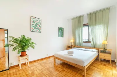 a white room with a bed and a plant at Bonfim Sunny Vintage apartment in Porto