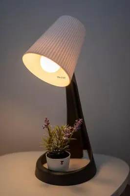 a lamp with a potted plant on a table at Casa da fonte in Vila Nova de Gaia