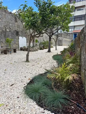 a garden with trees and plants and a stone wall at Bright apartment with garden in Porto