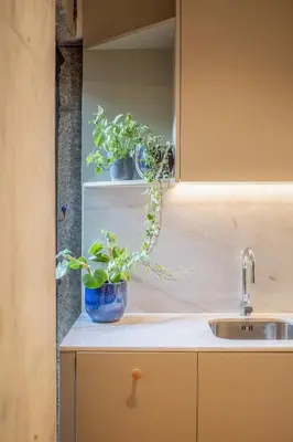 a kitchen with two potted plants on a counter at Charming Blue Apartment in Porto