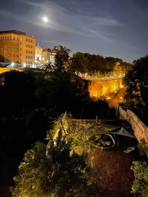 a yellow tree in a park with buildings in the background at Loveporto Varanda Jardim Centro in Porto