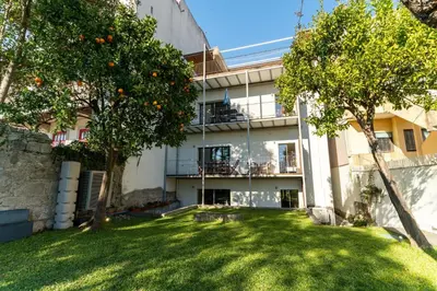 an orange tree in front of a building at Loveporto Varanda Jardim Centro in Porto