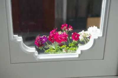 a window with a bunch of flowers in a window sill at Porto Vintage Guesthouse in Porto