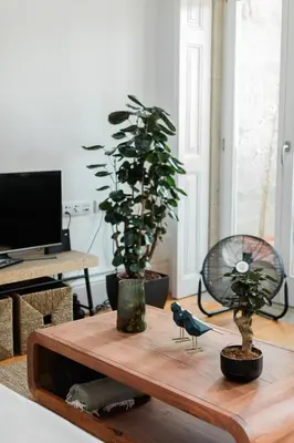 a living room with two potted plants and a coffee table at Downtown Urban Nest in Porto
