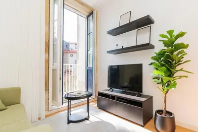 a living room with a tv and a plant at Charming Studio w/ Private Garden in St. Catarina in Porto