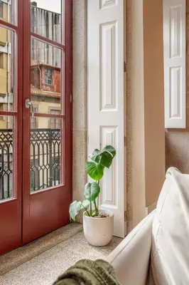 a plant sitting on a window sill next to a red door at Visconde de Gandara Apartment by Porto Stories in Porto