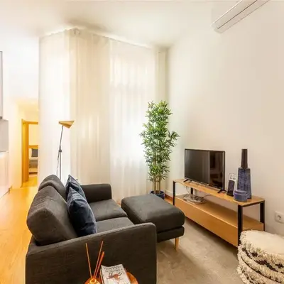Well-equipped apartment in Oporto