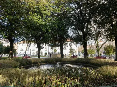 a pond in the middle of a park with trees at 1-bedroom beautiful apartment in Oporto in Porto