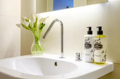 a bathroom sink with two bottles of soap and flowers at Discovery Luxury Historic House At Rua das Flores in Porto