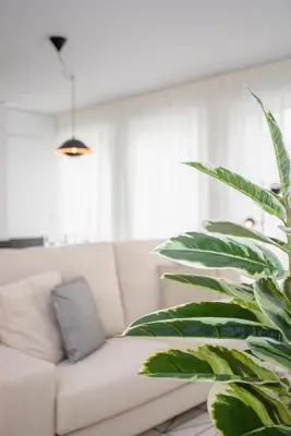 a white couch in a living room with a plant at Liiiving in Porto - Modern & Glam Apartment J in Porto
