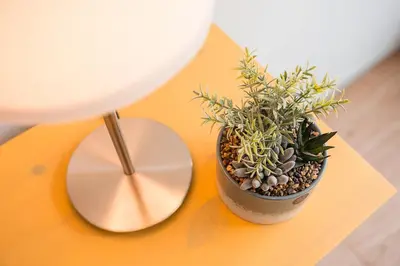 a table with a clock and a potted plant on it at GuestReady - Homely retreat in the city centre in Porto
