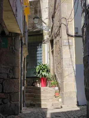 an alley with stairs and a plant in a window at Miragaia Charm Apartment in Porto